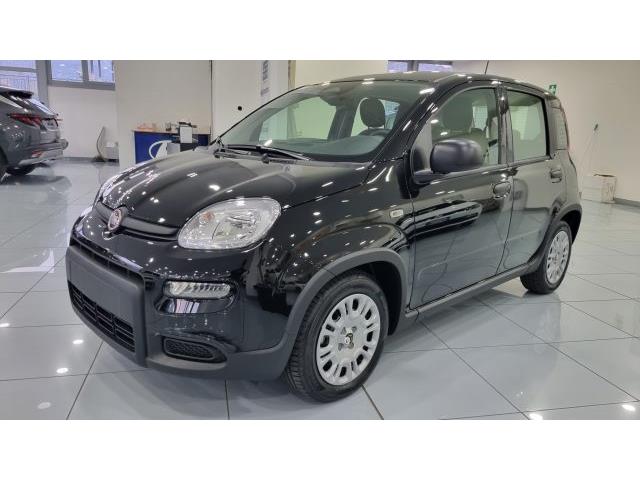 FIAT PANDA 1.0 FireFly S&S Hybrid Pandina