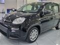 FIAT PANDA 1.0 FireFly S&S Hybrid Pandina