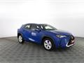 LEXUS UX UX250H Hybrid Business