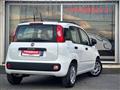 FIAT PANDA 1.2 EasyPower Easy - GPL CASA MADRE - GARANZIA