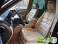 VOLKSWAGEN TOUAREG 3.0/240CV V6 TDI DPF tip. Executive