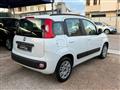 FIAT Panda 1.2 Lounge 69cv