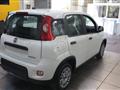 FIAT PANDA 1000 Hybrid KM ZERO