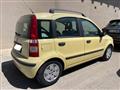 FIAT PANDA 1.2  60CV