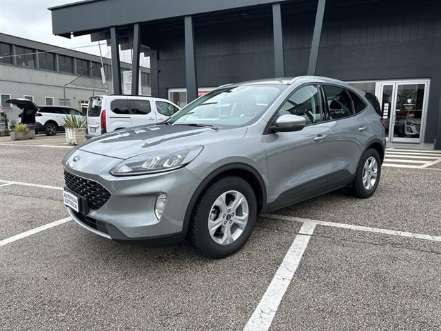 FORD KUGA 1.5 EcoBlue 120 CV 2WD Connect