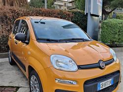 FIAT PANDA 1.0 FireFly S&S Hybrid Easy