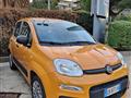 FIAT PANDA 1.0 FireFly S&S Hybrid Easy