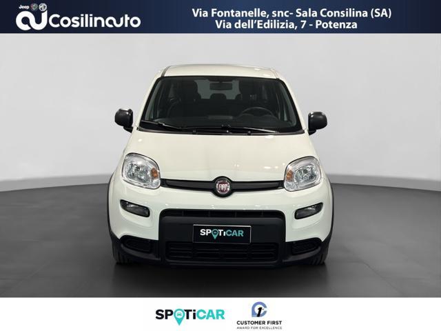 FIAT PANDA 1.0 FireFly S&S Hybrid City Life MY23
