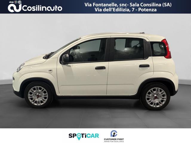 FIAT PANDA 1.0 FireFly S&S Hybrid City Life MY23