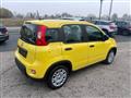 FIAT Panda 1.0 firefly hybrid s&s 70cv