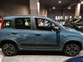 FIAT PANDA 1.0 FireFly S&S Hybrid City Life 5 P.TI