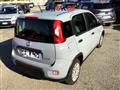 FIAT PANDA 1.0 FireFly Hybrid OK NEOPATENTATI