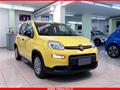 FIAT Panda 1.0 FireFly S&S Hybrid MY24 KM ZERO!!! IVATA NEOPATENTATI