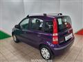 FIAT PANDA 1.2 Dynamic GPL