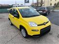 FIAT Panda 1.0 firefly hybrid s&s 70cv