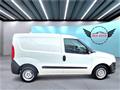 FIAT DOBLÒ 1.3 MJT PC-TN Cargo Lamierato E5+ RedAuto