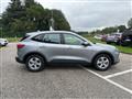 FORD KUGA 1.5 EcoBlue 120 CV 2WD Connect