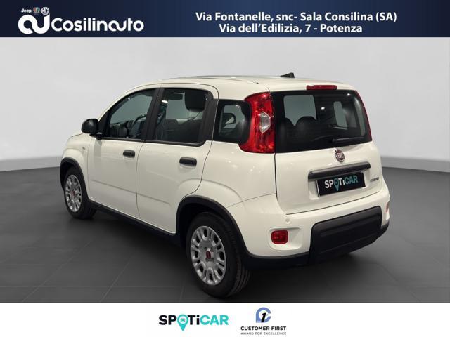 FIAT PANDA 1.0 FireFly S&S Hybrid City Life MY23
