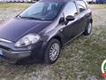 FIAT PUNTO 1.2 5 porte Dynamic