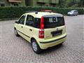 FIAT PANDA 1.2 Dynamic *OK NEOPATENTATI