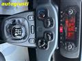 FIAT PANDA 1.2 Lounge 70CV  IDEALE PER NEOPATENTATI