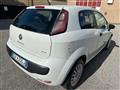 FIAT PUNTO 1.3 Mjt 75 CV Neopatentati DPF 3 porte S&S Active