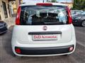 FIAT PANDA 1.3 MJT 80 CV S&S Lounge