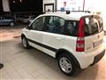 FIAT PANDA 1.2 Climbing Natural Power