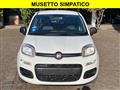 FIAT PANDA 1.2 Benzina Neopatentati