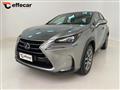 LEXUS NX Hybrid 4WD Icon