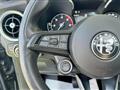 ALFA ROMEO STELVIO 2.2 Turbodiesel 190 CV AT8 Q4 Super