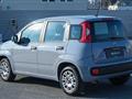 FIAT PANDA 1.2 Easy s&s 69cv my19