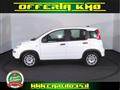 FIAT Panda 1.0 firefly hybrid s&s 70cv