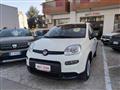 FIAT Panda FIAT Panda 1.0 firefly hybrid s&s 70cv