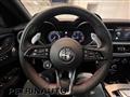 ALFA ROMEO STELVIO 2.2 Turbodiesel 210 CV AT8 Q4 Competizione