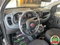 FIAT PANDA CROSS 1.0 Hybrid *DISPLAY COLORI