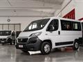 FIAT DUCATO FIAT DUCATO 2.3 MJT 150cv 9 posti Km 31.000