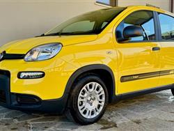 FIAT PANDA 1.0 FireFly S&S Hybrid Pandina