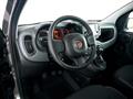 FIAT PANDA 1.0 FireFly S&amp;S Hybrid