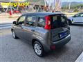 FIAT PANDA 1.2 Lounge 70CV  IDEALE PER NEOPATENTATI