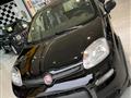 FIAT PANDA 1.2 EasyPower GPL casa madre promo "PANERO PLUS"