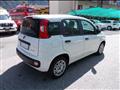 FIAT PANDA 1.0 firefly hybrid 70cv 5 posti