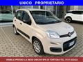 FIAT PANDA 1.2 benzina 69cv. Easy,Km 37.000 OK NEOPATENTATI