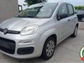 FIAT PANDA 1.2 Easy Climatizzata Neo Patentati