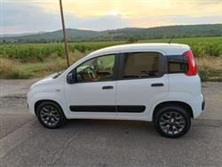 FIAT PANDA 1.3 MJT 80 CV S&S 4x4