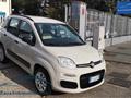 FIAT PANDA 0.9 TwinAir Natural Power Easy