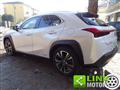 LEXUS UX Premium