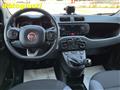 FIAT PANDA 1.2 Lounge 70CV  IDEALE PER NEOPATENTATI