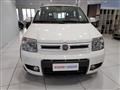 FIAT PANDA 1.4 Climbing Natural Power