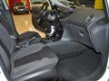 FORD FIESTA 1.6 TDCi 95CV 5 PORTE  Business